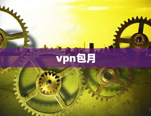 vpn包月