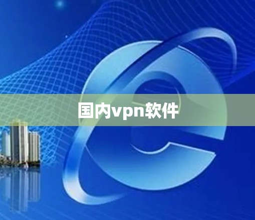 国内vpn软件