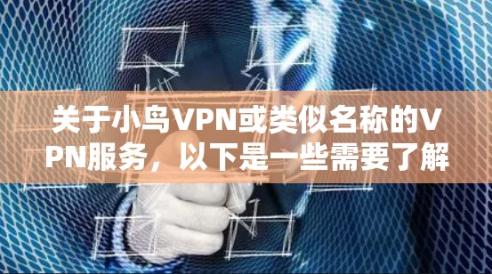 关于小鸟VPN或类似名称的VPN服务，以下是一些需要了解的重要信息和建议