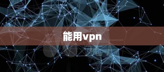 能用vpn