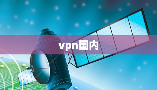vpn国内