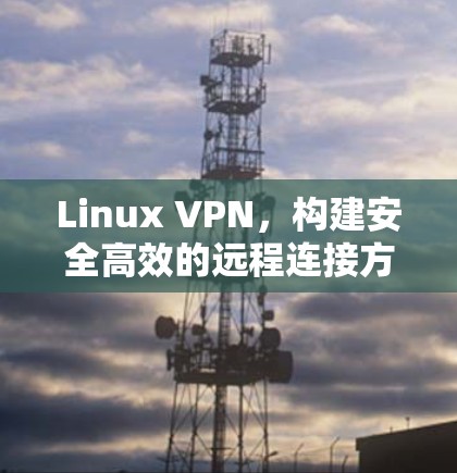 Linux VPN，构建安全高效的远程连接方案