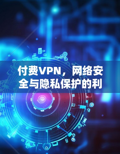 付费VPN，网络安全与隐私保护的利器还是潜在风险？