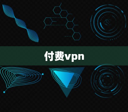 付费vpn