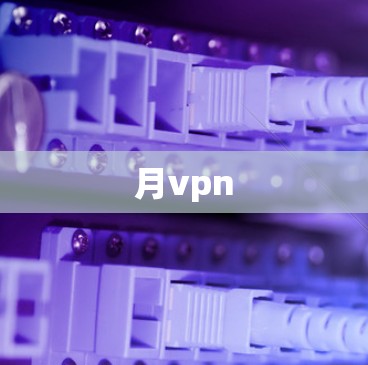 月vpn