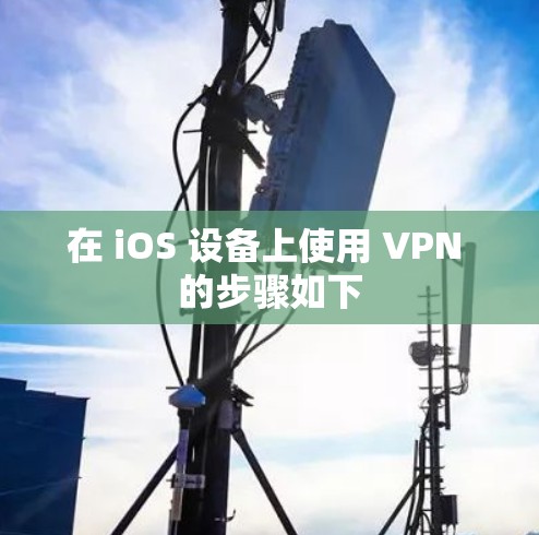 在 iOS 设备上使用 VPN 的步骤如下