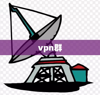 vpn群