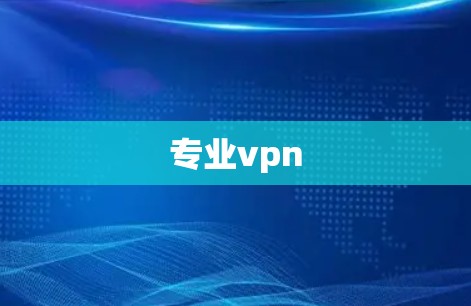 专业vpn