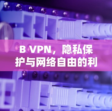 B VPN,隐私保护与网络自由的利器 B VPN,隐私保护与网络自由的利器