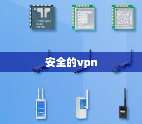 安全的vpn 安全的vpn