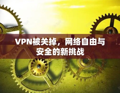 VPN被关掉,网络自由与安全的新挑战