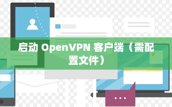 启动 OpenVPN 客户端(需配置文件)