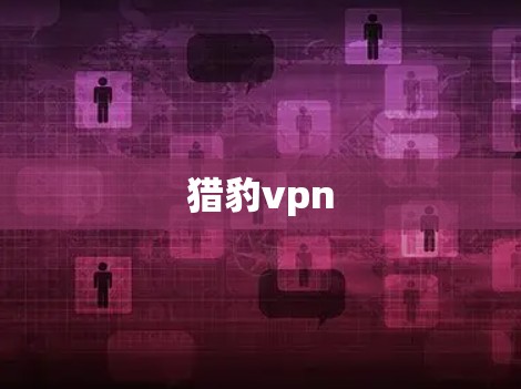 猎豹vpn