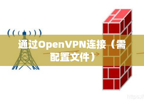 通过OpenVPN连接（需配置文件）