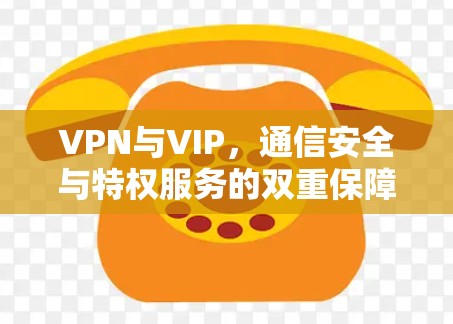 VPN与VIP,通信安全与特权服务的双重保障