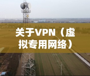 关于VPN(虚拟专用网络)的使用,需要明确以下几点
