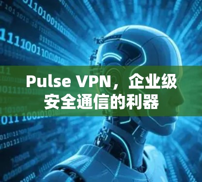 Pulse VPN，企业级安全通信的利器
