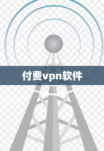 付费vpn软件