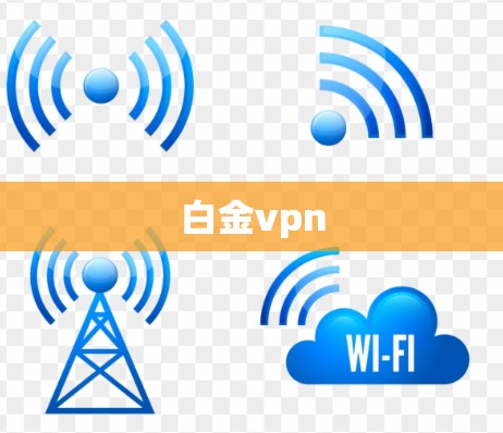 白金vpn