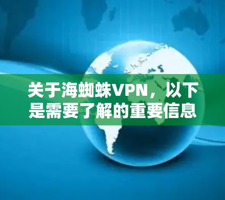 关于海蜘蛛VPN,以下是需要了解的重要信息