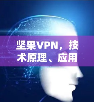 坚果VPN，技术原理、应用场景与潜在风险分析
