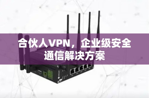 合伙人VPN,企业级安全通信解决方案