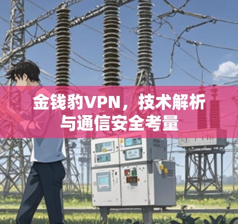 金钱豹VPN，技术解析与通信安全考量