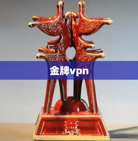 金牌vpn